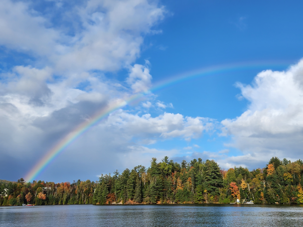 article_img1_rainbow